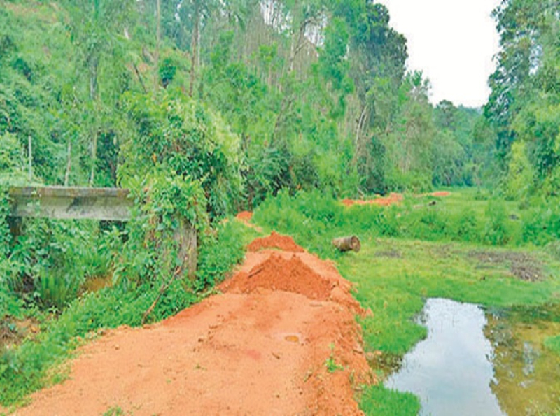 அருகிவரும் பந்துல மீனினத்தின் (Bandula Barb) வாழிடமாகவுள்ள நிக்கந்துபொல நீரோடையின் ஒருபகுதியை சரணாலயமாக பிரகடனப்படுத்தல்